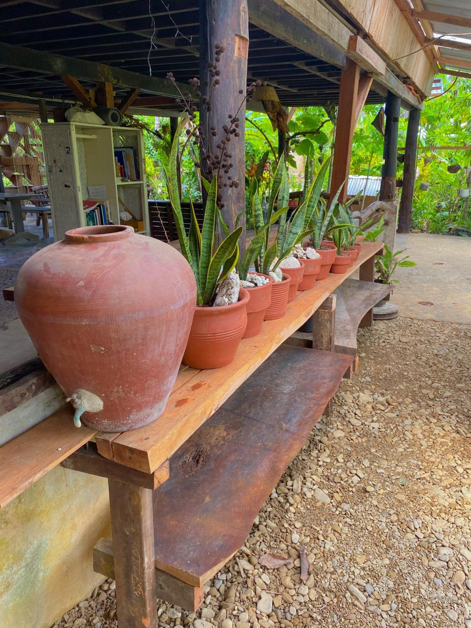 Cafe Sabang Guest House المظهر الخارجي الصورة